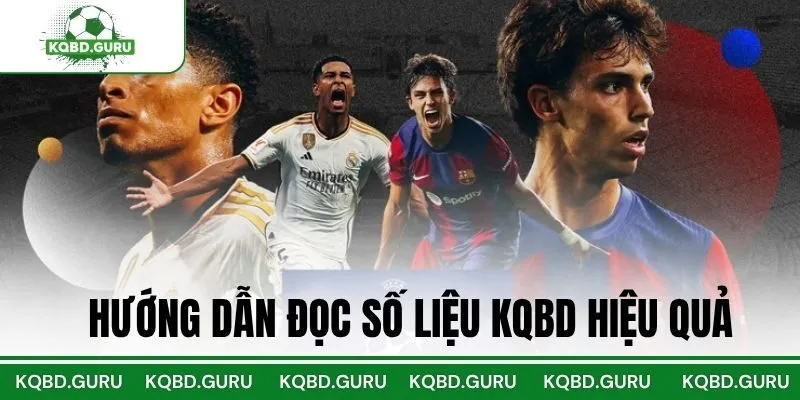 Hướng Dẫn Đọc Số Liệu KQBD Hiệu Quả